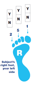 Touch the toes test